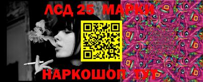 индика Ливны