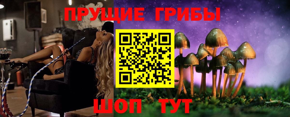 Галлюциногенные грибы GOLDEN TEACHER Кореновск
